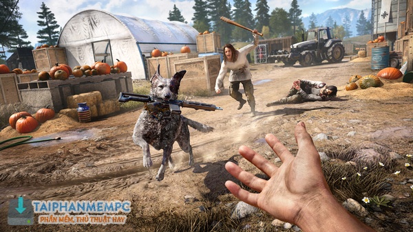 Far Cry 5 3