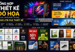 Chia sẻ 2TB kho tài nguyên thiết kế (PTS, AI, ID) nhiều lĩnh vực